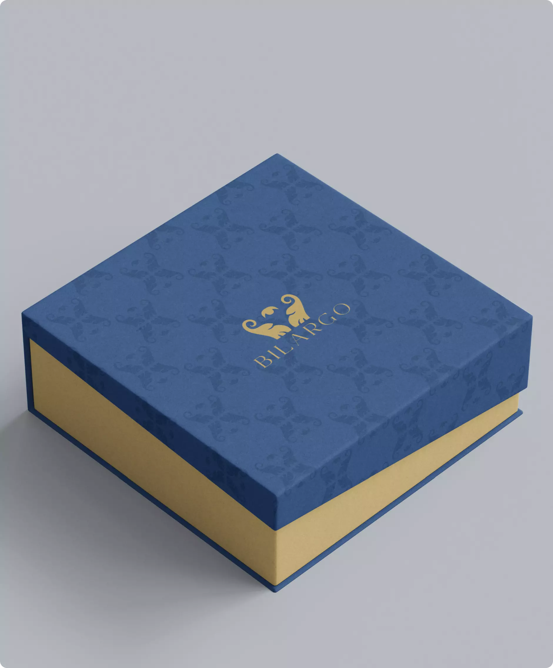 Showcase image 3