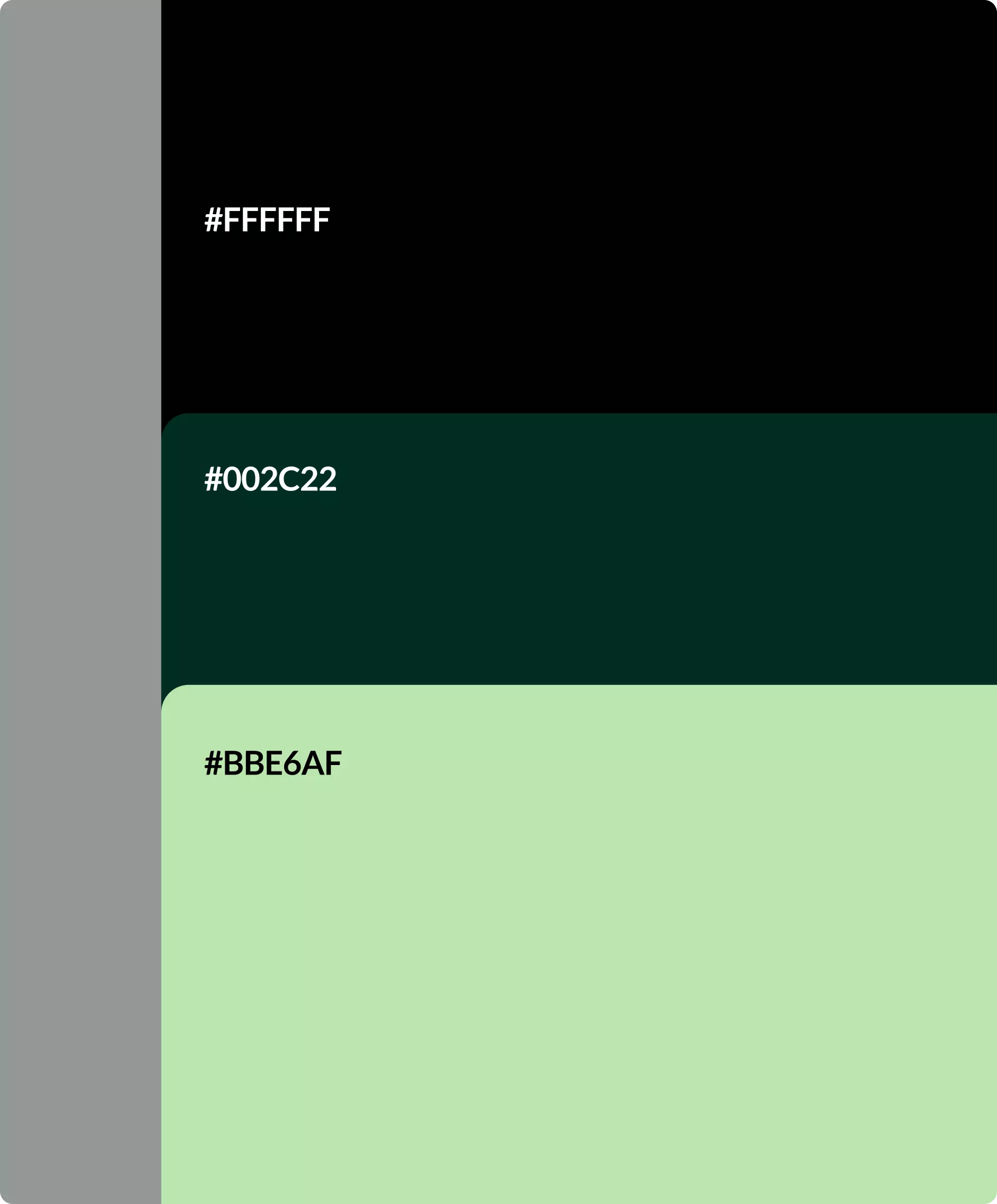 Showcase image 1